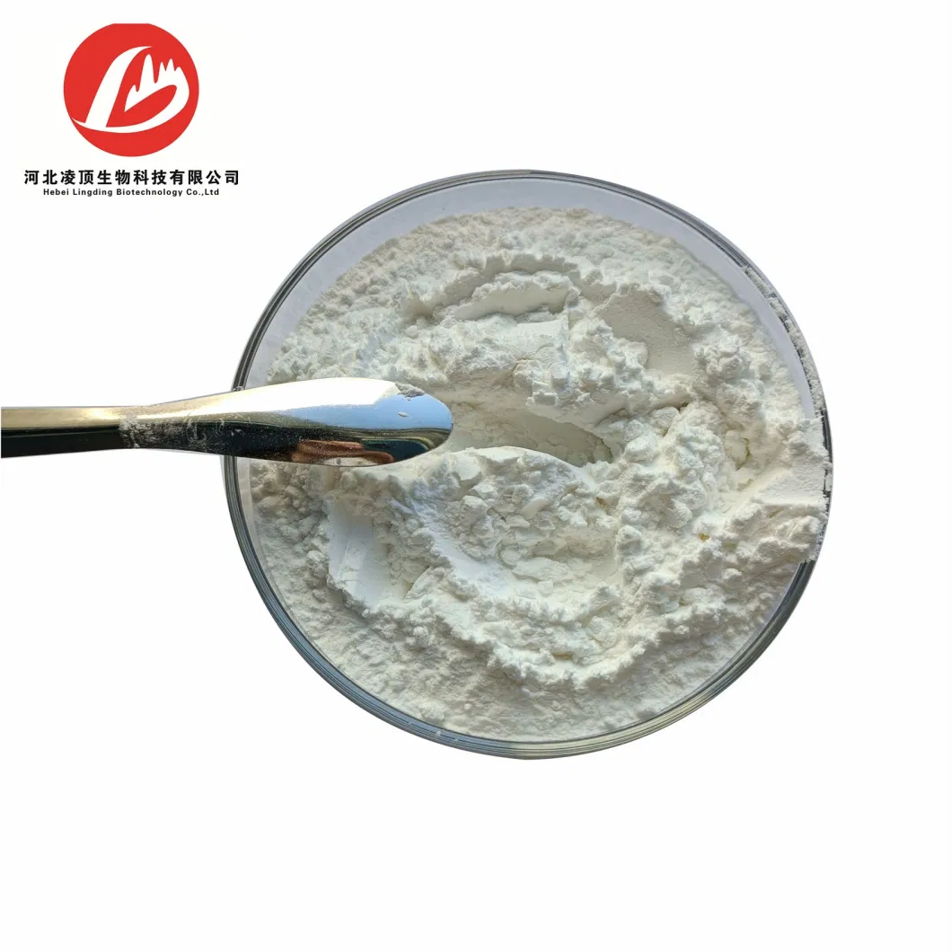 Factory Supply Tetracaine CAS 94-24-6 Anesthetic Agents with Best Price