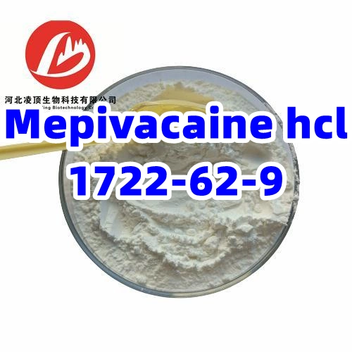 Mepivacaine Hydrochloride CAS 1722-62-9 for Local Anesthetics