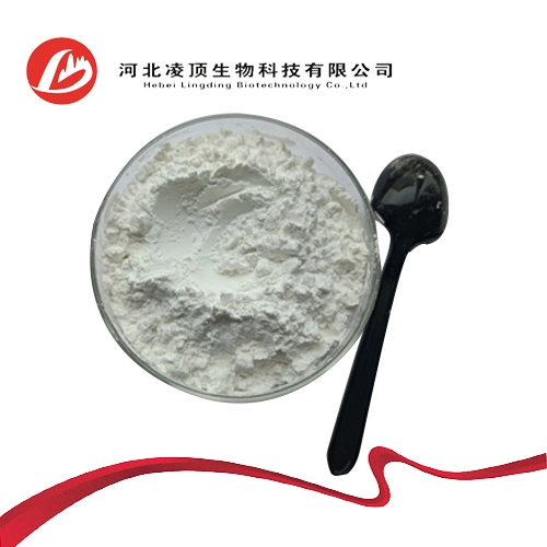 Bupivacaine Hydrochloride Is Anesthetic Agents CAS: 14252